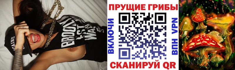 наркота  Сургут  Галлюциногенные грибы MAGIC MUSHROOMS 